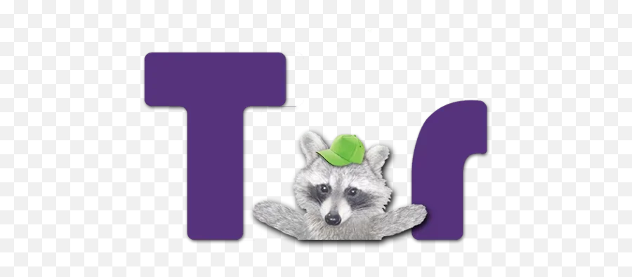 Telegram Sticker 16 From Collection Famous Racoon - Raccoon Emoji,Racoon Emoji