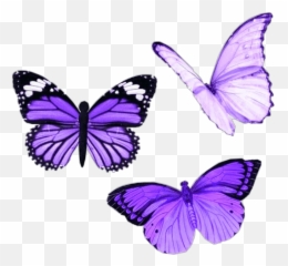 Largest Collection Of Free - Purple Aesthetic Stickers Butterfly Emoji,Butterfly Emoticon