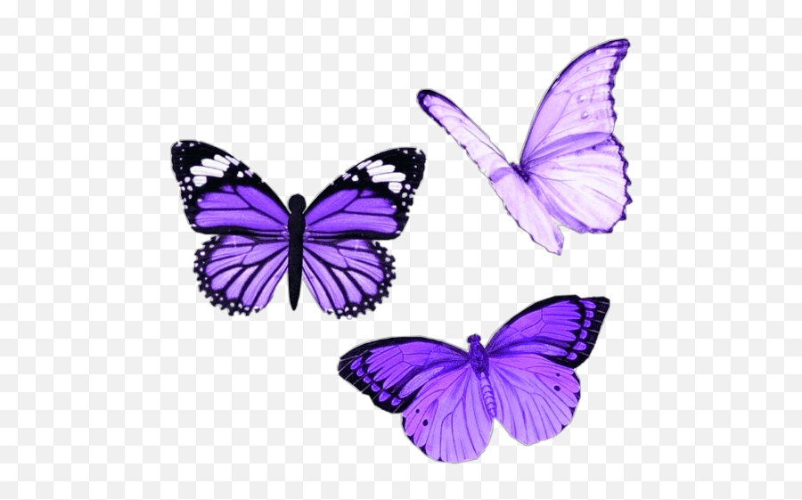 Largest Collection Of Free - Purple Aesthetic Stickers Butterfly Emoji,Butterfly Emoticon