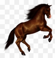 Free Vectors Graphics Psd Files - Horse Png Emoji,Horse Arm Emoji