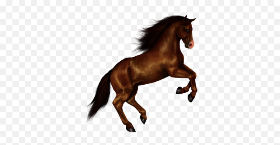Free Vectors Graphics Psd Files - Horse Png Emoji,Horse Arm Emoji