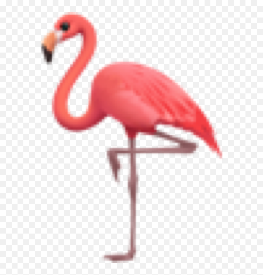 Trending Flamingo Stickers - New Emojis In,Flamingo Emoji For Iphone