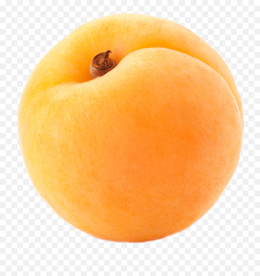 Huge Apricot Transparent Png Clipart - Apricot Transparent Background Emoji,Apricot Emoji