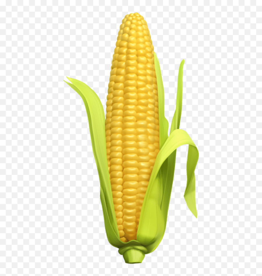 Free Png Download Corn Png Images - Transparent Background Corn Transparent Png Emoji,Emoji Corn