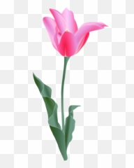 Free Pink Flower Flower Vectors - Tulip Clip Art Emoji,Cherry Blossom Emoji