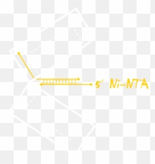 Team Tiny Trap - Vertical Emoji