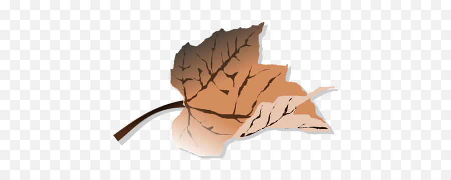 Brown Autumn Leaf Vector Clip Art - Dead Leaves Clipart Emoji,Fallen Leaf Emoji