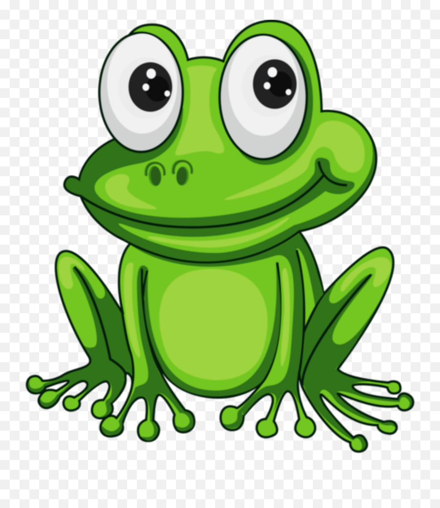 Mq Green Frog Frogs Toad - Transparent Background Frog Clipart Png Emoji,Green Frog Emoji