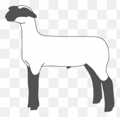 2140 Lamb Free Clipart - Show Lamb Clip Art Emoji,Ewe Emoji