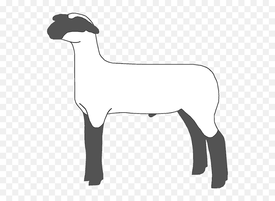 2140 Lamb Free Clipart - Show Lamb Clip Art Emoji,Ewe Emoji