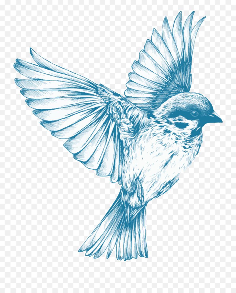 Vintage Blue Bird Clipart - Blue Bird Drawing Png Emoji,Bluebird Emoji