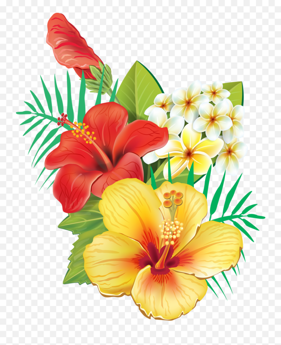 Tropical - Hibiscus Flowers Clipart Full Size Clipart Clipart Tropical Flowers Emoji,Flower Emoji Background