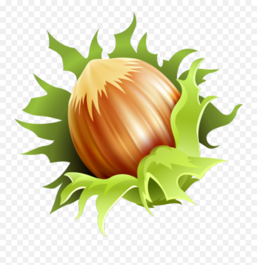 Nuts Chestnut - Hazelnut Fresh Emoji,Chestnut Emoji