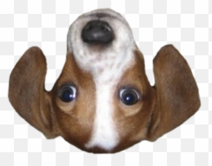 Picture - Frankerfacez Emotes Png Emoji