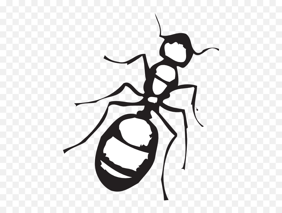 Ants Clipart Outline Pencil And In Color Ants - Ant Clipart Black White Emoji,Ant Emoji