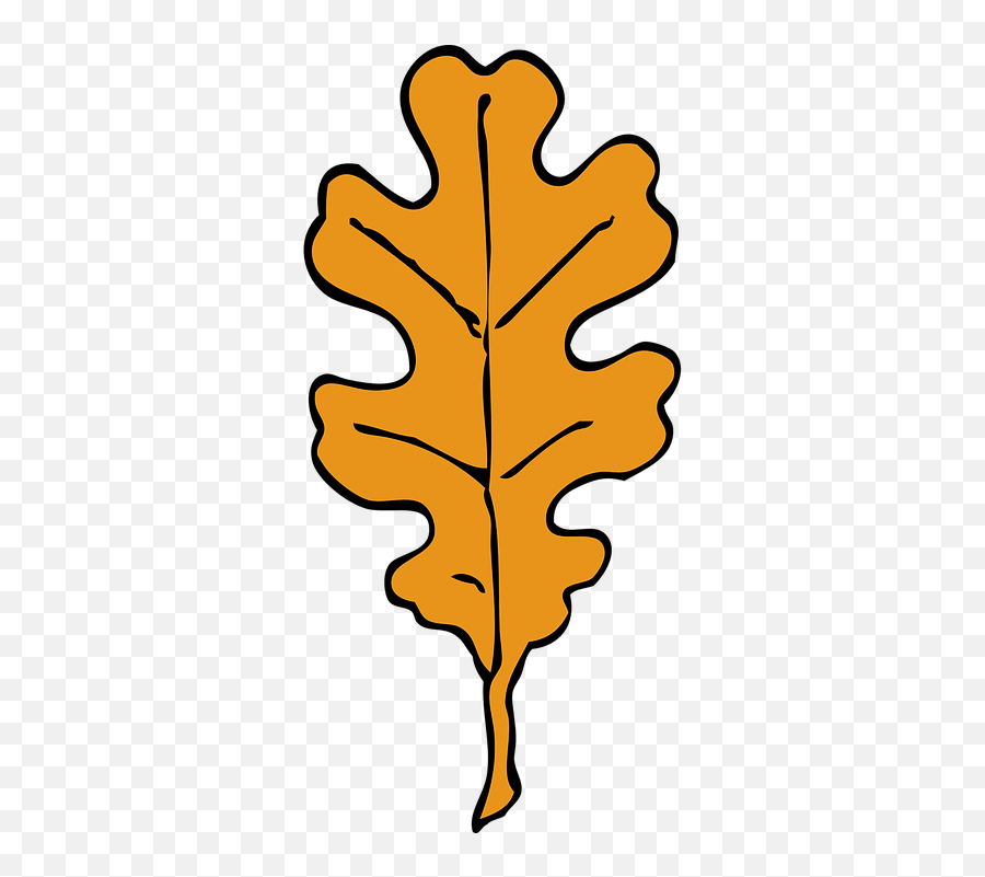 Free Oak Tree Vectors - Oak Tree Leaves Clipart Emoji,Broccoli Emoticon