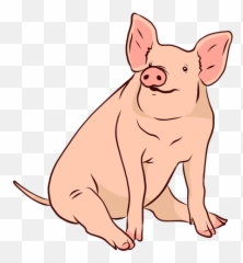 Pig Snout Png Picture - Porco Emoji