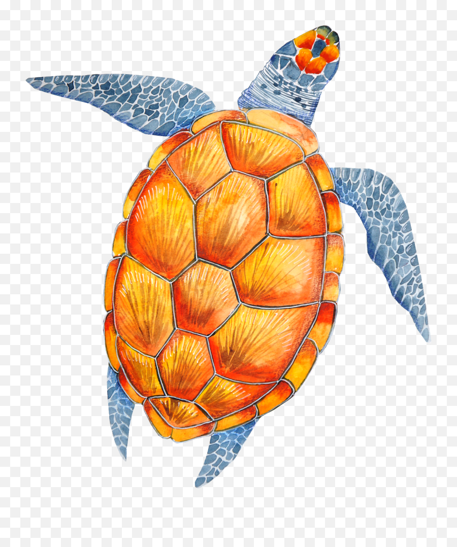 Turtle Tortoise Clip Art - Sea Turtles Emoji,Sea Turtle Emoji