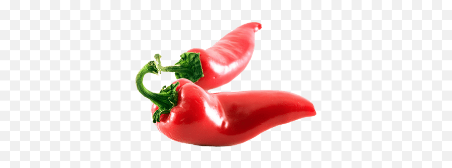 Aji Png U0026 Free Ajipng Transparent Images 147279 - Pngio Transparent Background Pepper Png Emoji,Hot Pepper Emoji