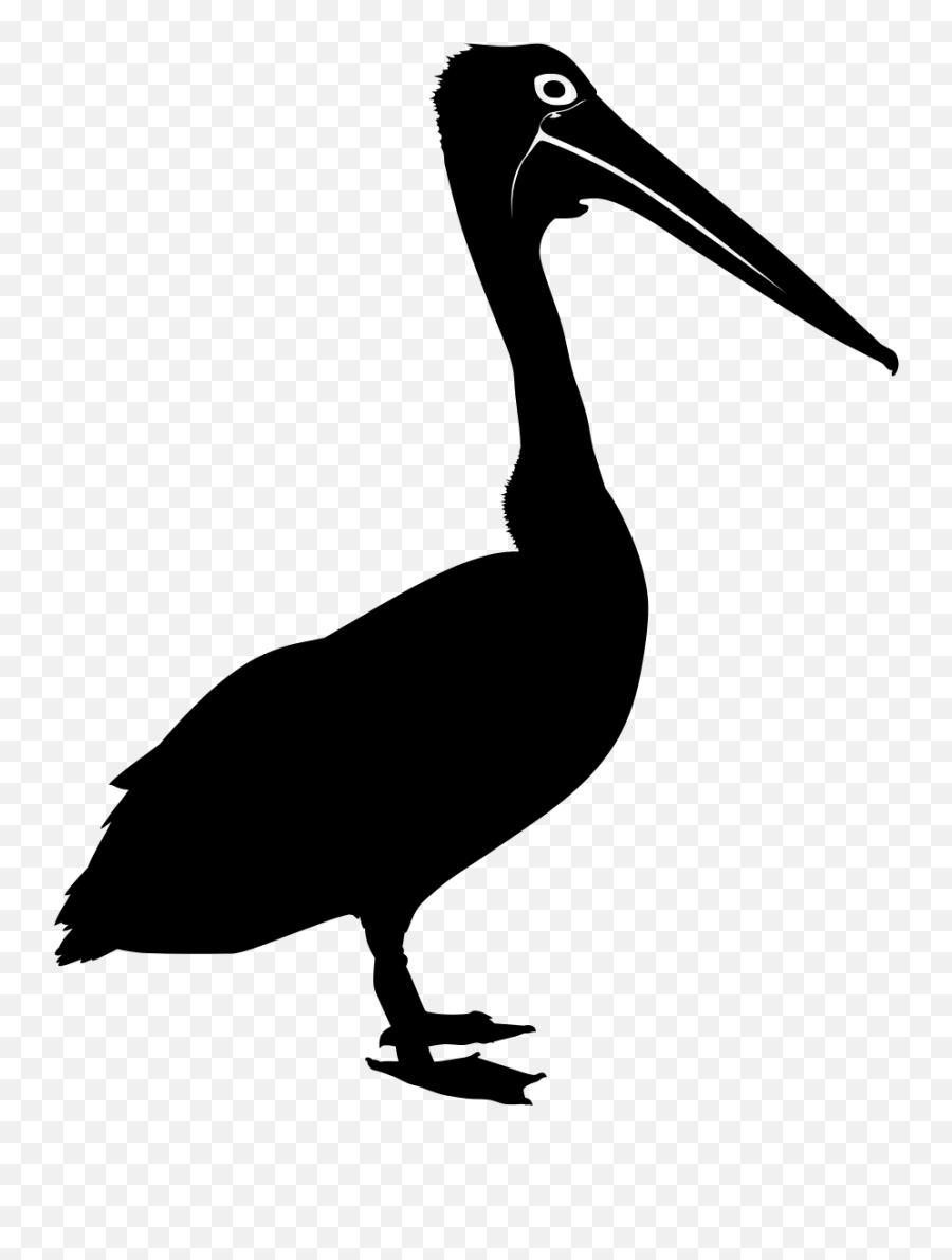 Bird Australian Pelican Silhouette Clip - Pelican Png Silhouette Emoji,Pelican Emoji