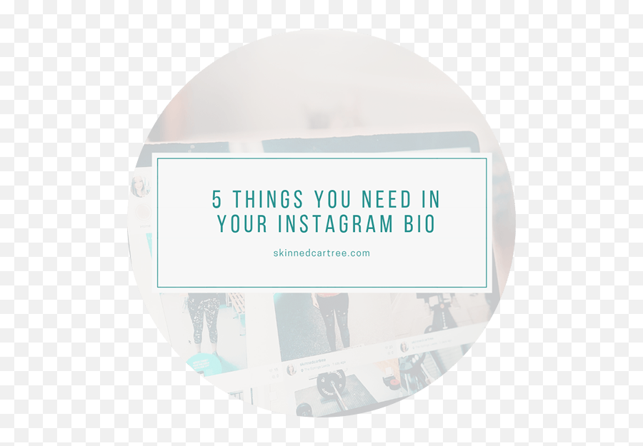 5 Things You Need In Your Instagram Bio - Circle Emoji,Cool Instagram Bio With Emoji
