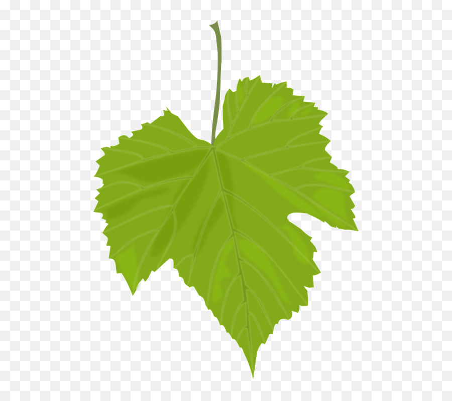 Autumn Fall Grape - Clip Art Grape Leaf Emoji,Fallen Leaf Emoji