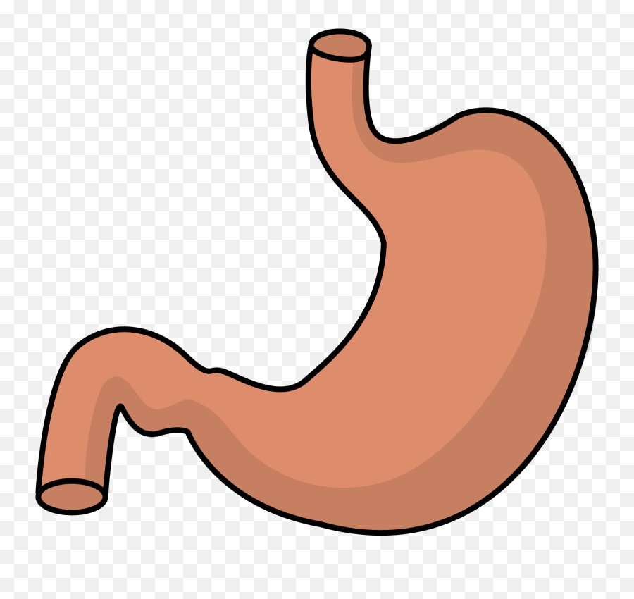The Best Free Stomach Clipart Images - Stomach Clip Art Emoji,Stomach Emoji