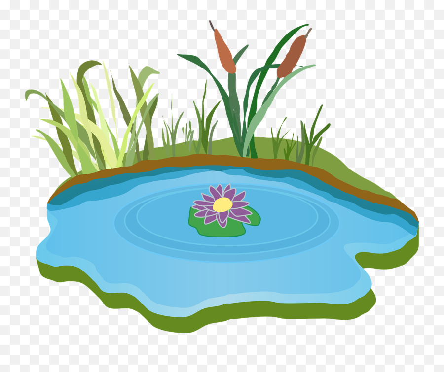 Pond Water Outdoor Grass Outdoors - Pond Clipart Emoji,Lily Pad Emoji