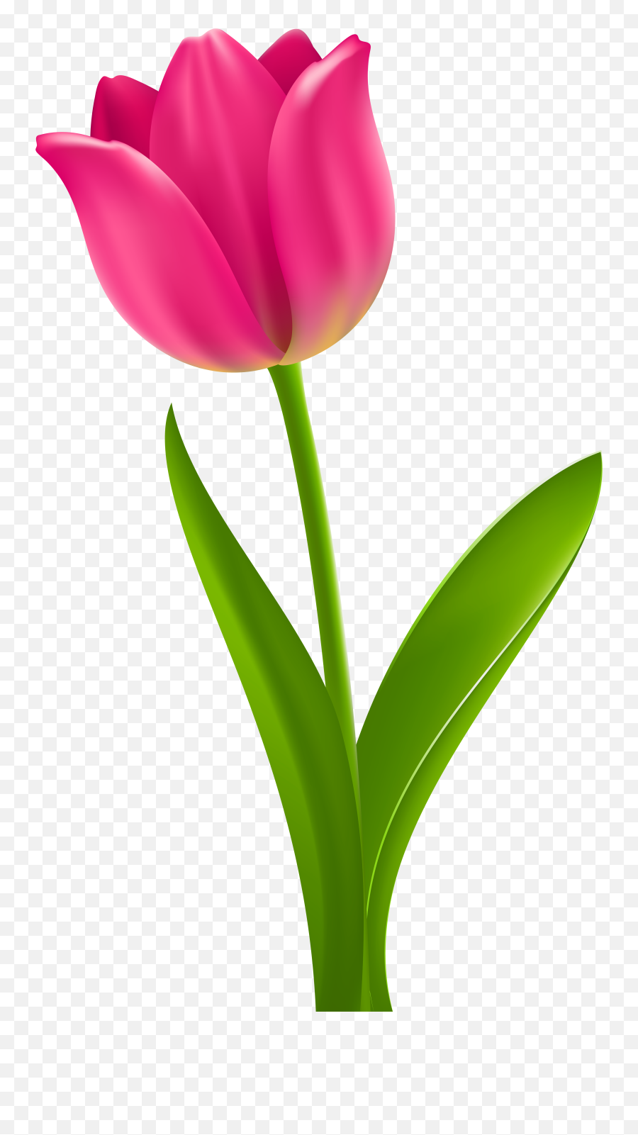 Tulips Clipart - Tulip Clipart Emoji,Tulip Emoji