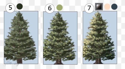 A Helpful Guide to Drawing Plants by HeroDraws - CLIP STUDIO Pine Tree Brush Paint Tool Sai Emoji