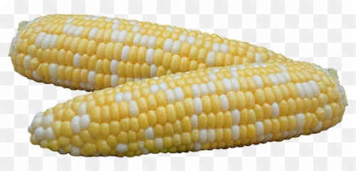 Corn Png Free Image - Kernels Emoji