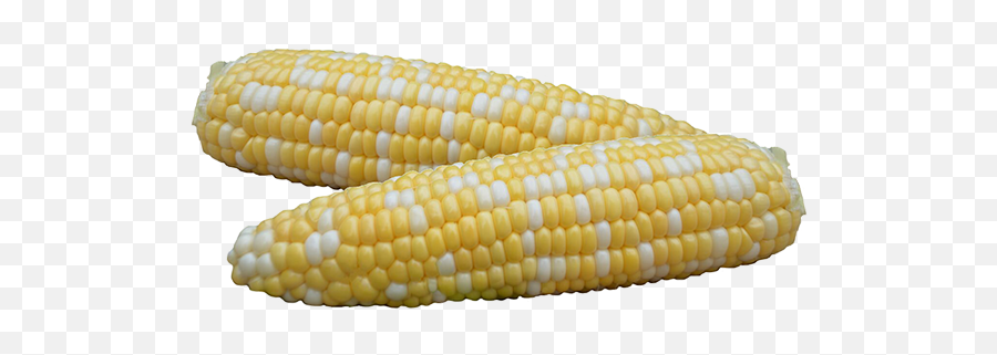 Corn Png Free Image - Corn Kernels Emoji,Emoji Corn