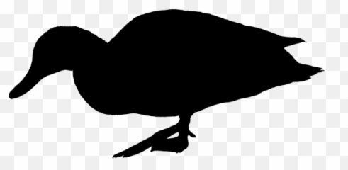 Free Black Ducks Duck Images - Scalable Vector Graphics Emoji,Black Bird Emoji