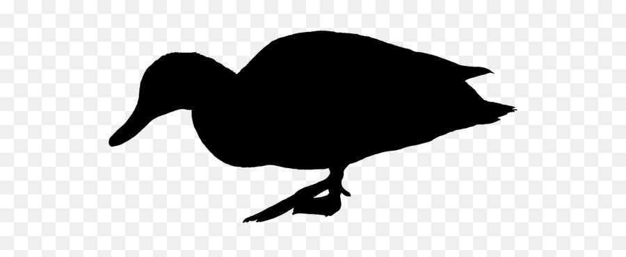 Free Black Ducks Duck Images - Scalable Vector Graphics Emoji,Black Bird Emoji