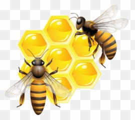 Honey Png Transparent Dripping - Bee Emoji