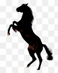 Mustang Horse Transparent Png Clipart - Black Emoji