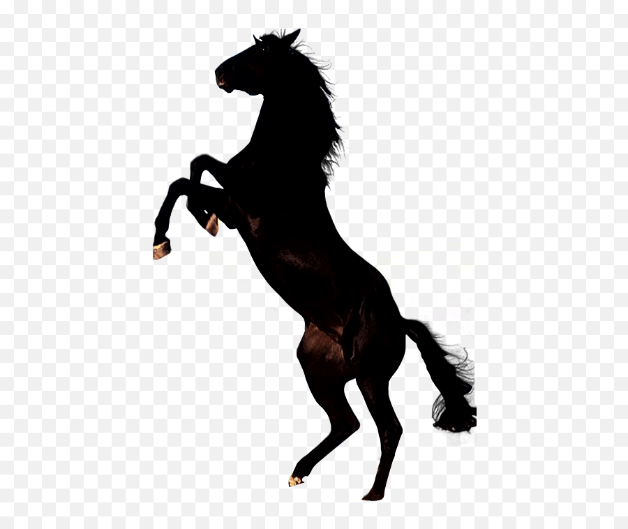Mustang Horse Transparent Png Clipart - Black Horse Png Emoji,Horse Muscle Emoji