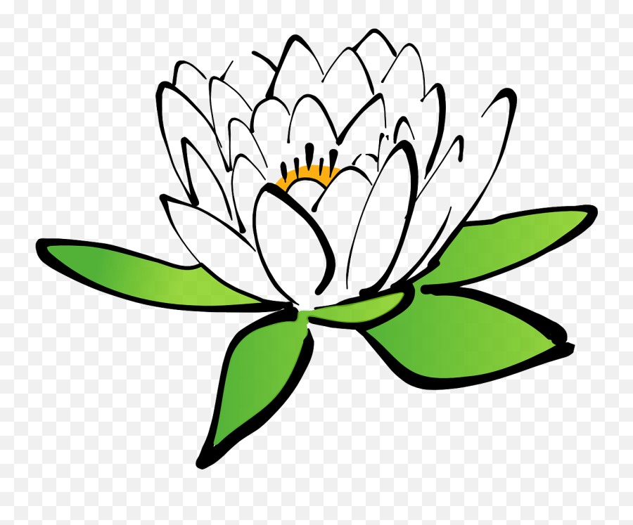 Lotus Flower Water Lily White Water - Bunga Teratai Animasi Emoji,Lily Pad Emoji