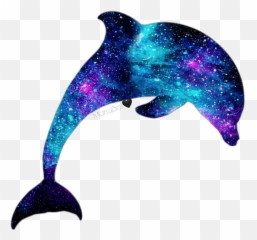 Dolphins Cute Stickers For Whatsapp - Delfin Png Emoji,Dolphin Emoji Android