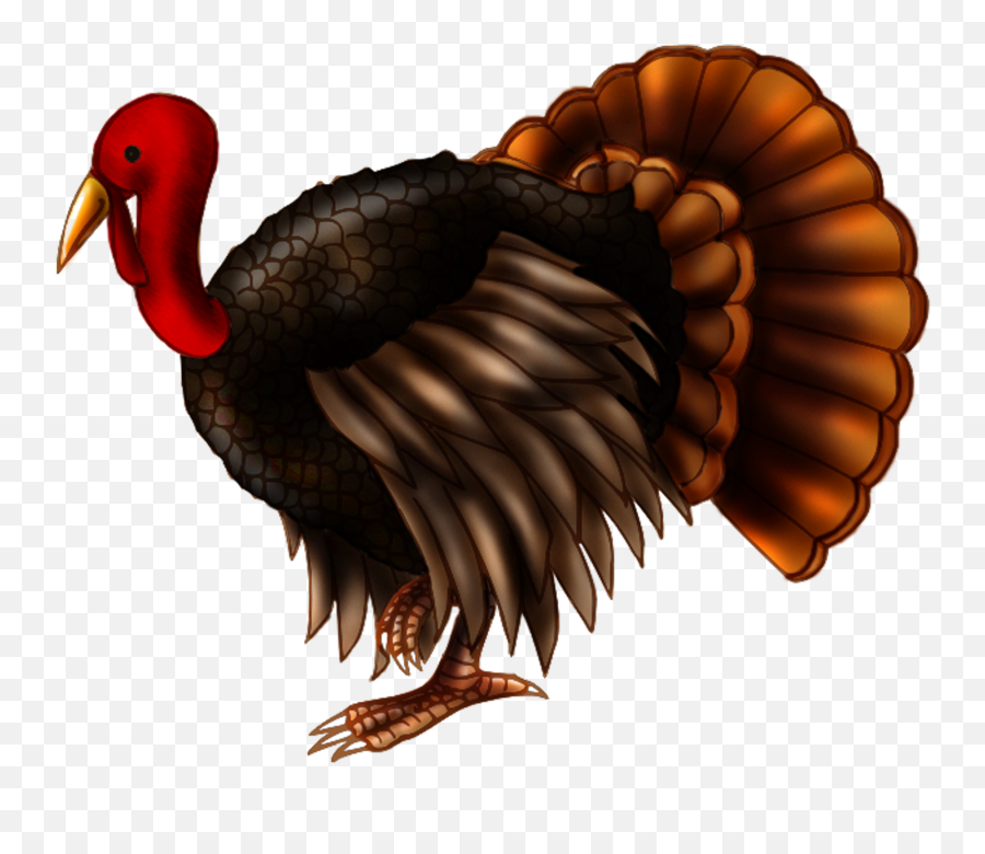 Scturkey Turkey Thanksgiving Sticker Stickers Freetoedi - Clip Art Emoji,Thanksgiving Turkey Emoji