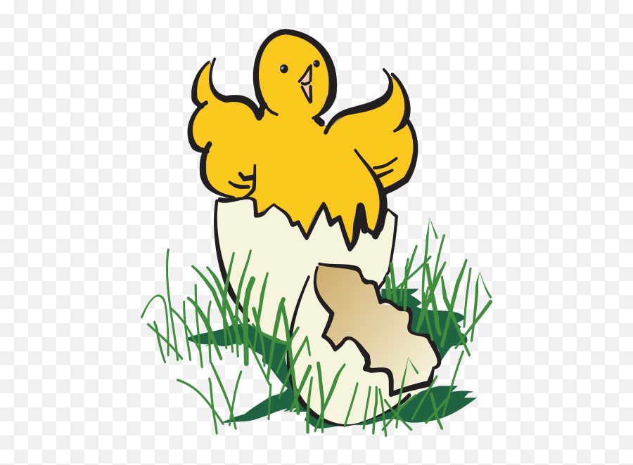 Hatchingducklingyellowbirdbaby - Free Image From Needpixcom Hatch Clipart Emoji,Chicken Hatching Emoji