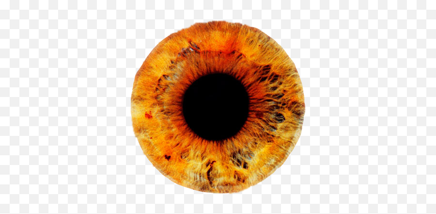 Yellow Red Orange Eye Lens Contactlens Honey Fire Sun - Ice Cb Eyes Lens Png Emoji,Sun Fire Emoji