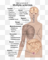 Symptoms Of Multiple Sclerosis - Chart Emoji