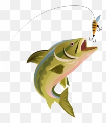 Grayson Jr - Trota Png Emoji,Emoticons Fishing