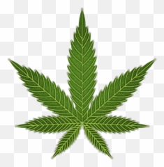 Drug Emojis Issue - Mlg Weed Png,Plant Emoji