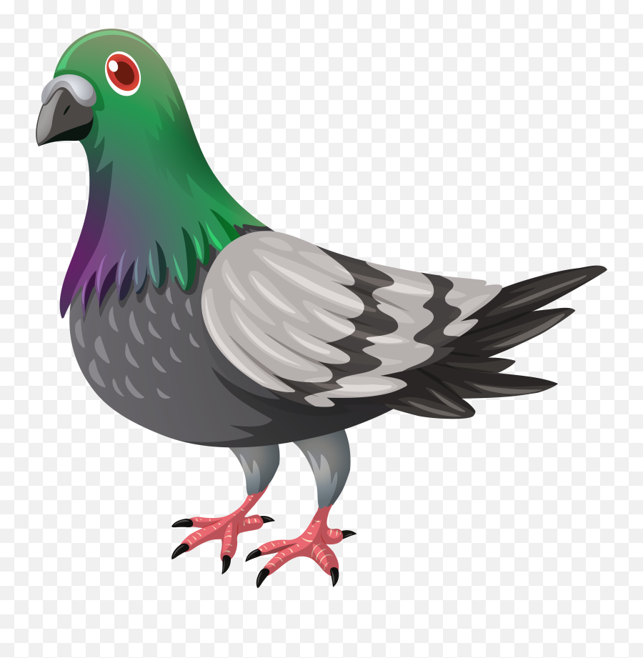 Pigeon Clipart Transparent Emoji,Pigeon Emoji