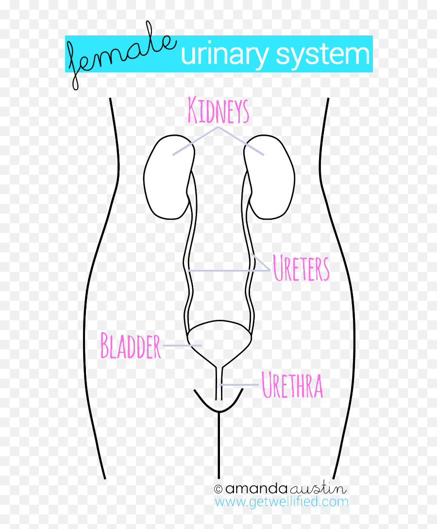 How To Get Rid Of A Urinary Tract Infection Without - Diagram Emoji,Funny Emoji Combos