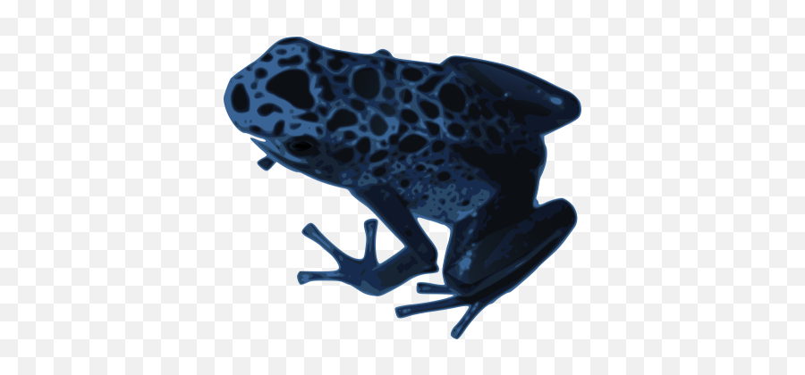 Frog Png And Vectors For Free Download - Dlpngcom Poison Dart Frog Transparent Background Emoji,Kermit The Frog Emoji