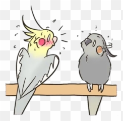 Cacatúa Historieta Stickers For Whatsapp - Cartoon Emoji,Cockatiel Emoji