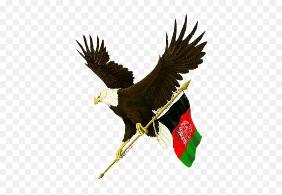 Edit - Afghanistan Flag With Eagle Emoji,Afghan Flag Emoji